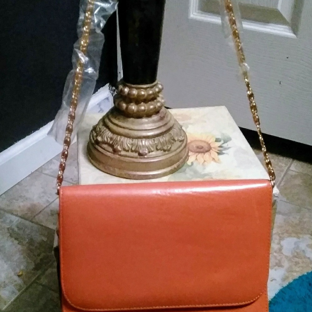 New with tags Bellini purse